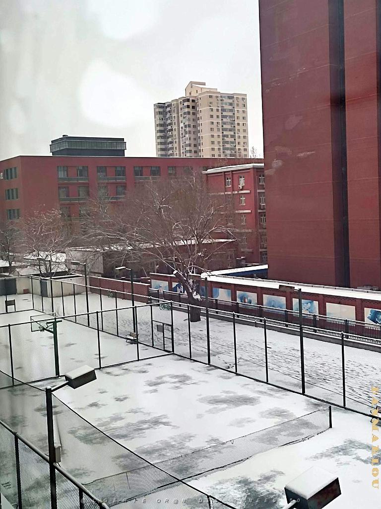 2023 12 PEKIN- UNIVERSITE LANGUES ETRANGERES SOUS LA NEIGE (10).jpg
